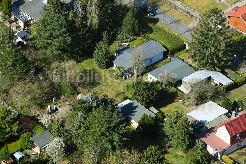 Luftbild Gorinsee - Wohngebiet einer Einfamilienhaus- Siedlung Str. zum See - Ahornweg in Gorinsee im Bundesland Brandenburg, Deutschland