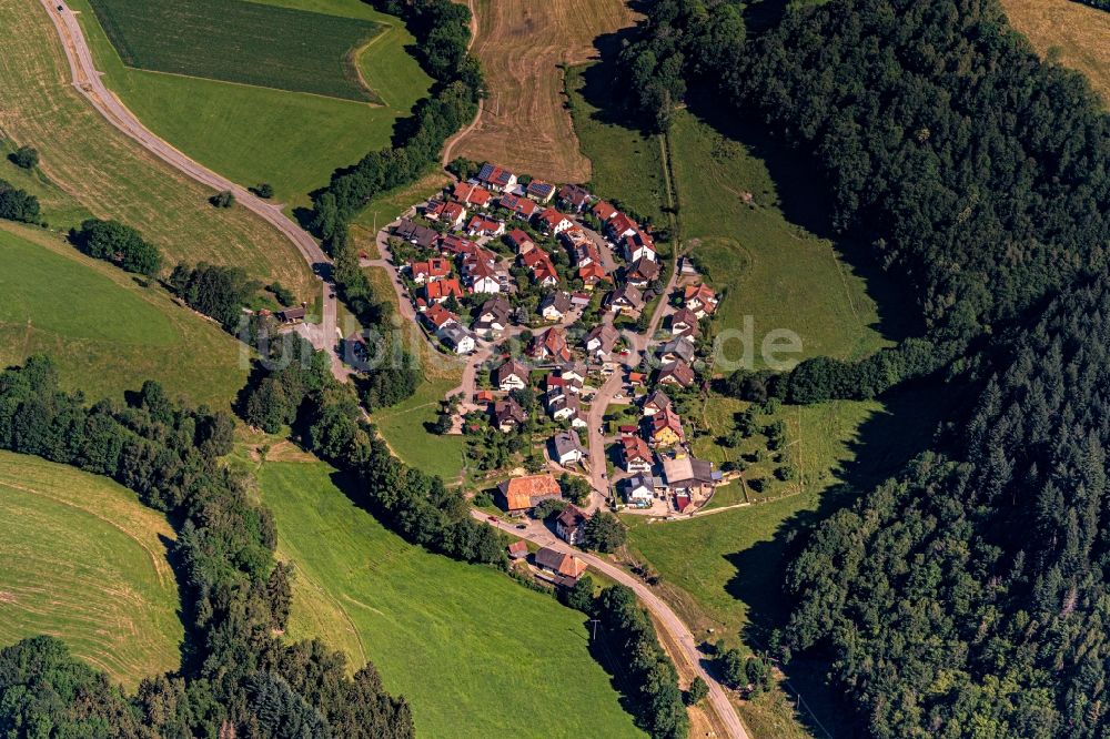 Zastler von oben - Wohngebiet einer Einfamilienhaus- Siedlung Zastlerbachtal in Zastler im Bundesland Baden-Württemberg, Deutschland