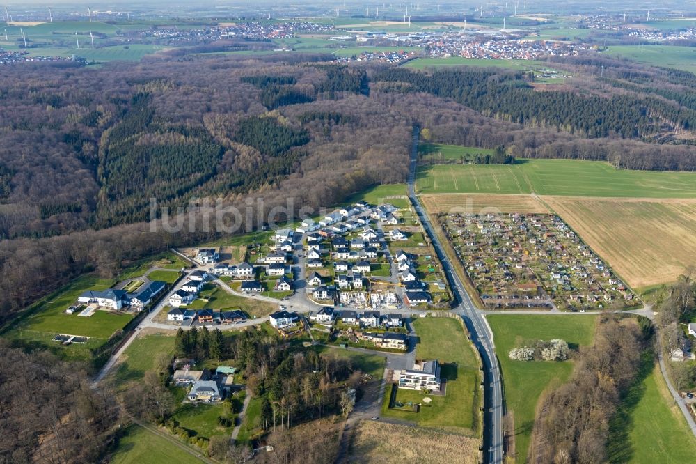 Arnsberg von oben - Wohngebiet einer Einfamilienhaus- Siedlung zum Dollberg in Arnsberg im Bundesland Nordrhein-Westfalen, Deutschland