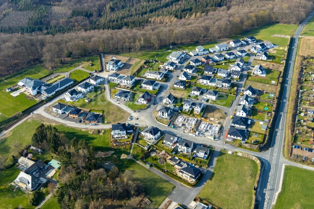 Arnsberg von oben - Wohngebiet einer Einfamilienhaus- Siedlung zum Dollberg in Arnsberg im Bundesland Nordrhein-Westfalen, Deutschland