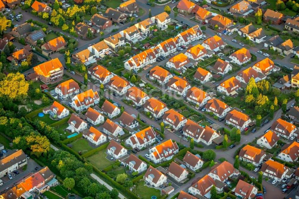 Bergkamen von oben - Wohngebiet einer Einfamilienhaus- Siedlung zwischen der Schulstraße und der Pfalzstraße im Ortsteil Weddinghofen in Bergkamen im Bundesland Nordrhein-Westfalen, Deutschland