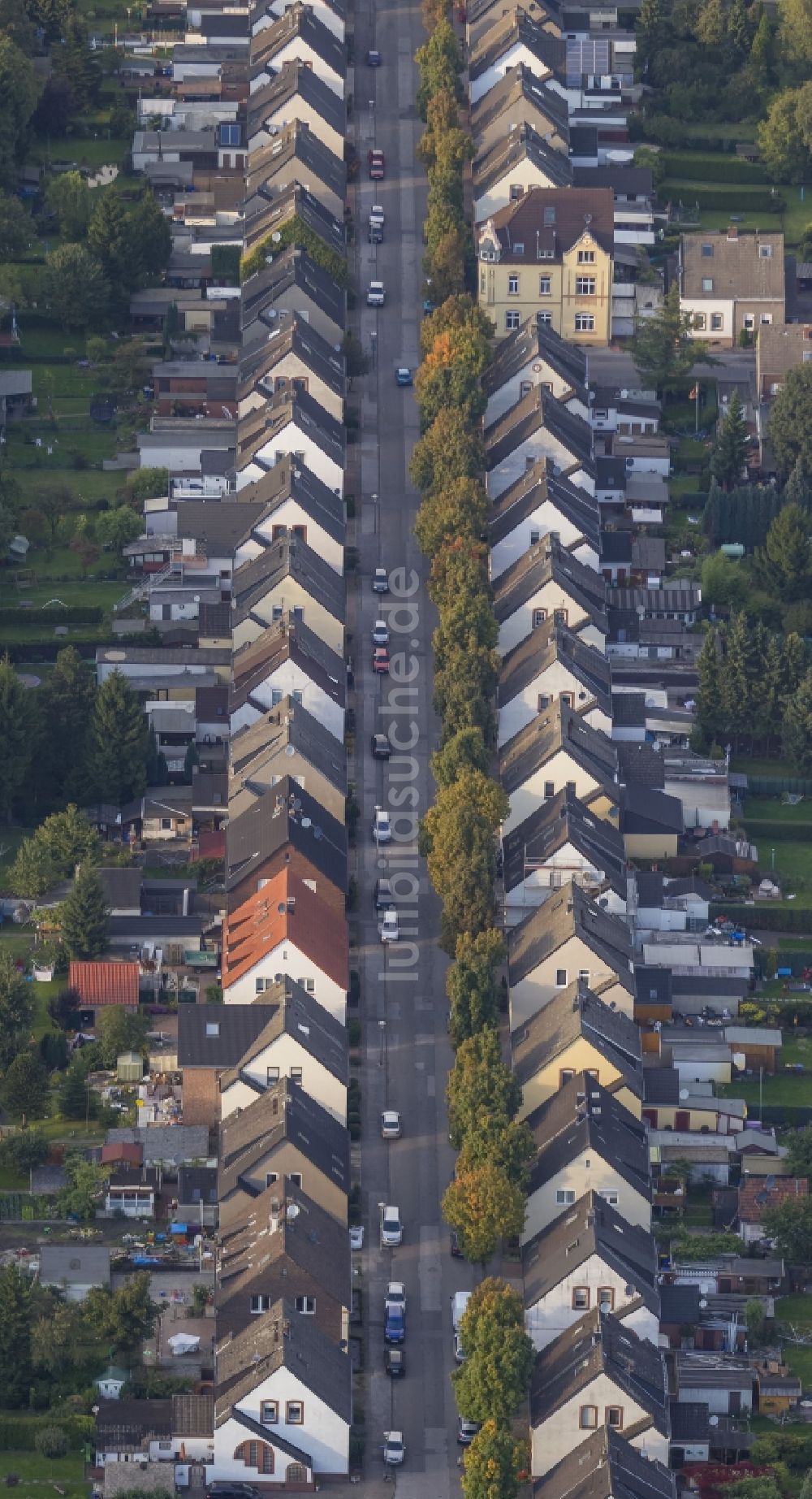 Gladbeck aus der Vogelperspektive: Wohngebiet um die Emscherstraße im Ortsteil Brauck in Gladbeck im Bundesland Nordrhein-Westffalen