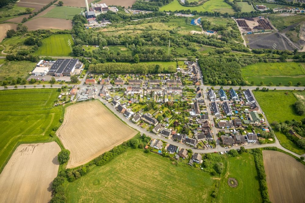 Hamm aus der Vogelperspektive: Wohngebiet entlang der Wittekindstraße - Haberkampstraße in Hamm im Bundesland Nordrhein-Westfalen, Deutschland