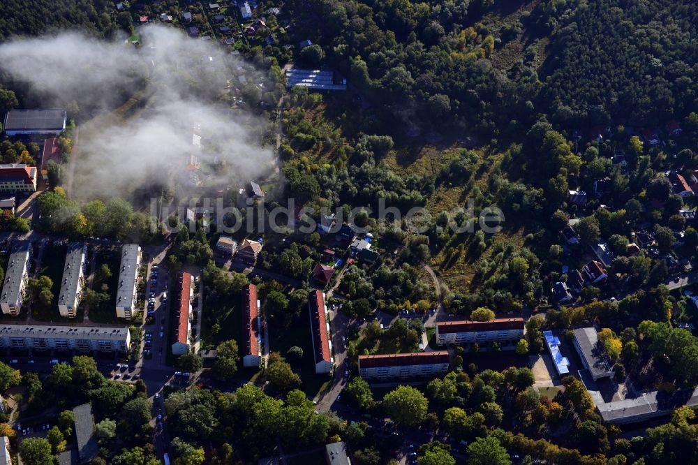 Berlin Köpenick von oben - Wohngebiet am Feldblumenweg - Grüne Trift am Stadtrand des Stadtteiles Köpenick in Berlin