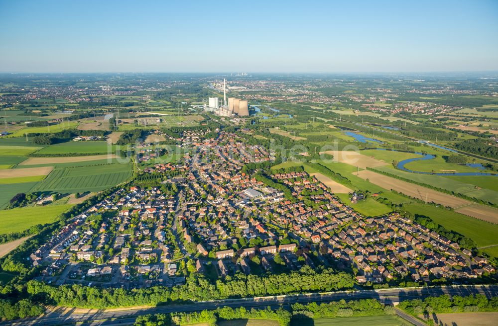 Stockum aus der Vogelperspektive: Wohngebiet am Feldrand in Stockum im Bundesland Nordrhein-Westfalen, Deutschland