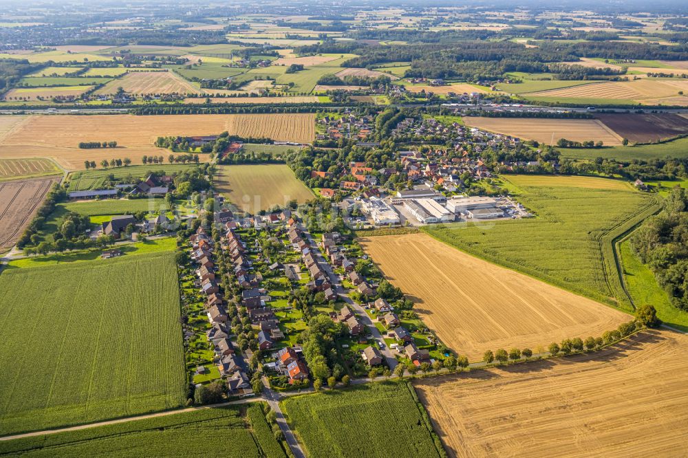 Vellern von oben - Wohngebiet am Feldrand in Vellern im Bundesland Nordrhein-Westfalen, Deutschland