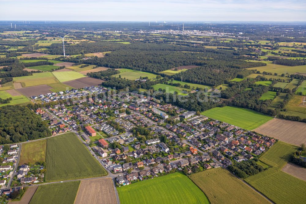 Wulfen von oben - Wohngebiet am Feldrand in Wulfen im Bundesland Nordrhein-Westfalen, Deutschland