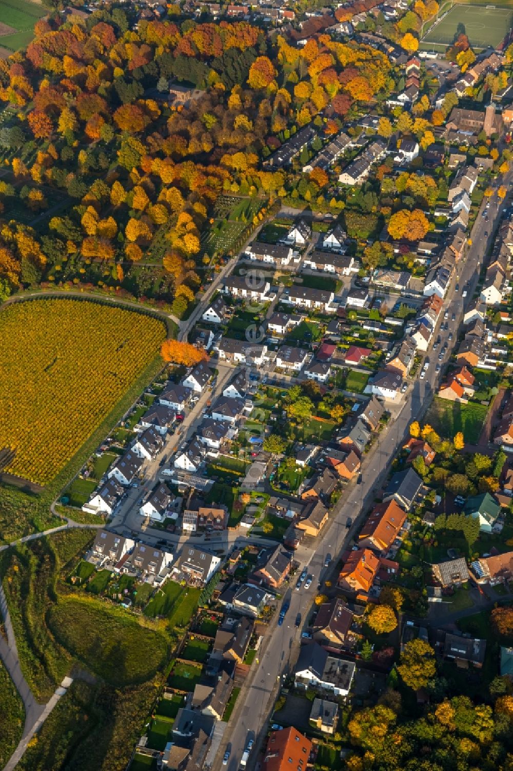 Luftbild Gladbeck - Wohngebiet und herbstliche Umgebung im Verlauf der Hegestraße im Westen von Gladbeck im Bundesland Nordrhein-Westfalen