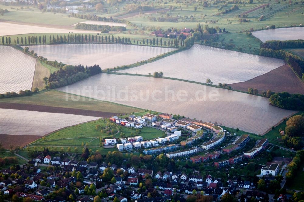 Luftaufnahme Karlsruhe - Wohngebiet einer ökologischen Mehrfamilienhaussiedlung fünfzig Morgen im Ortsteil Hohenwettersbach in Karlsruhe im Bundesland Baden-Württemberg