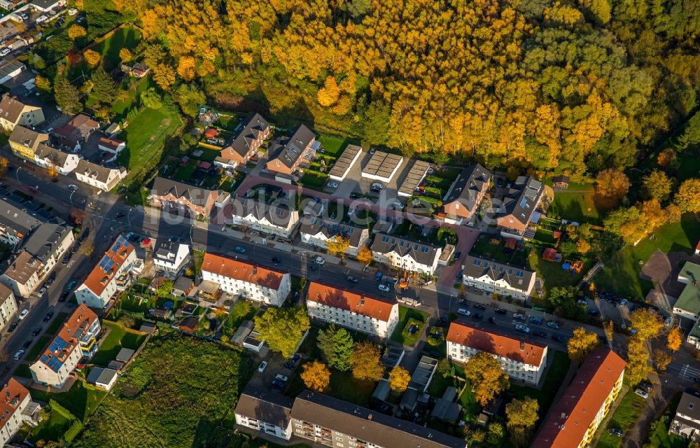 Gladbeck von oben - Wohngebiet an der Marienstraße in Gladbeck im Bundesland Nordrhein-Westfalen