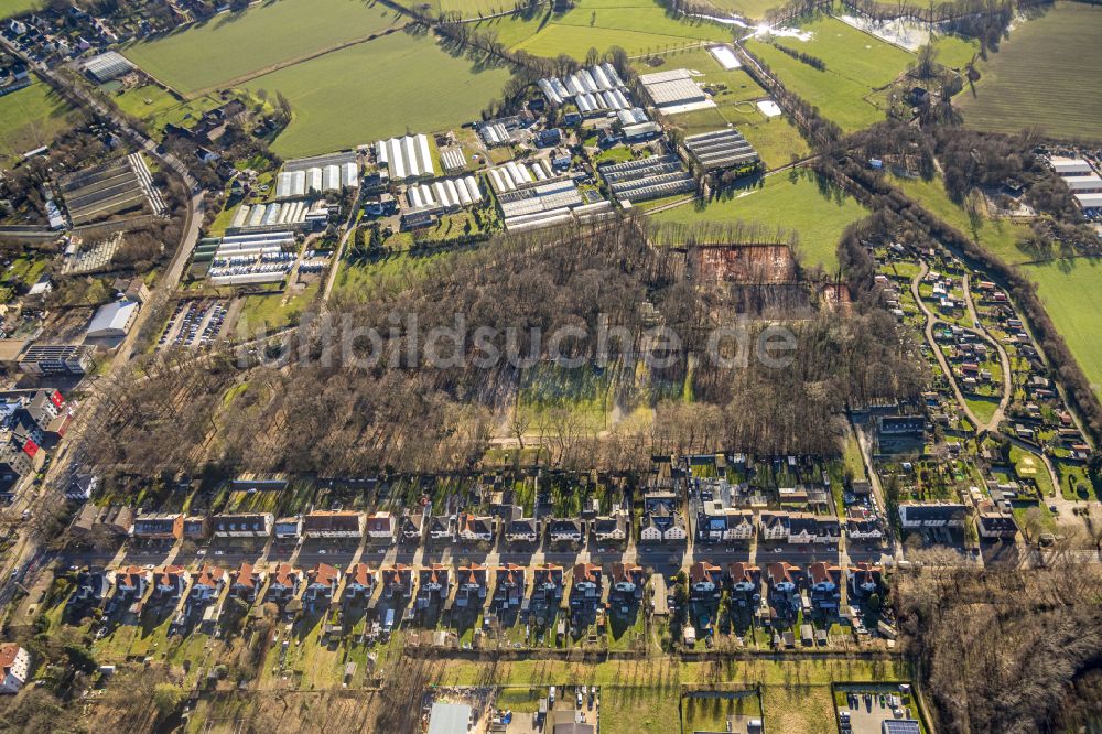 Luftaufnahme Lünen - Wohngebiet der Mehrfamilienhaussiedlung Alte Kolonie Brambauer in Lünen im Bundesland Nordrhein-Westfalen