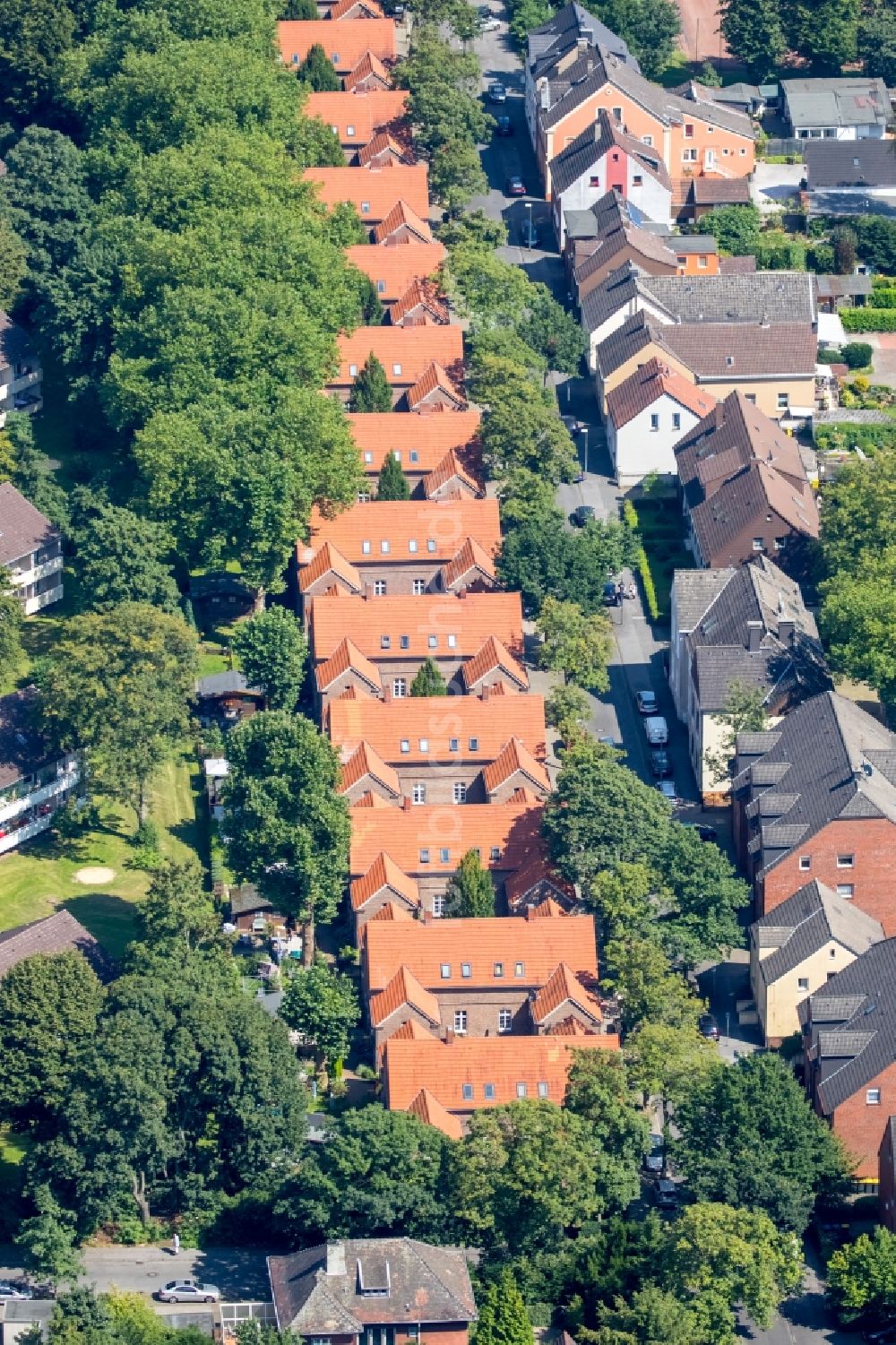 Gelsenkirchen aus der Vogelperspektive: Wohngebiet einer Mehrfamilienhaussiedlung in Buer in Gelsenkirchen im Bundesland Nordrhein-Westfalen