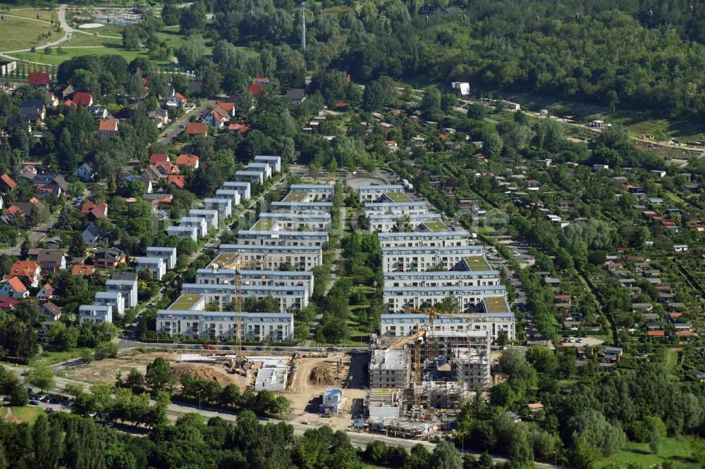 Berlin von oben - Wohngebiet einer Mehrfamilienhaussiedlung der degewo AG an der Joachim-Ringelnatz-Straße - Hans-Fallada-Straße - Cecilienstraße im Ortsteil Biesdorf in Berlin