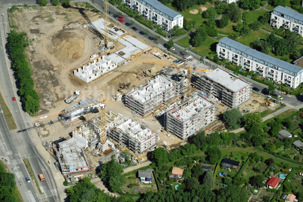 Berlin aus der Vogelperspektive: Wohngebiet einer Mehrfamilienhaussiedlung der degewo AG an der Joachim-Ringelnatz-Straße - Hans-Fallada-Straße - Cecilienstraße im Ortsteil Biesdorf in Berlin