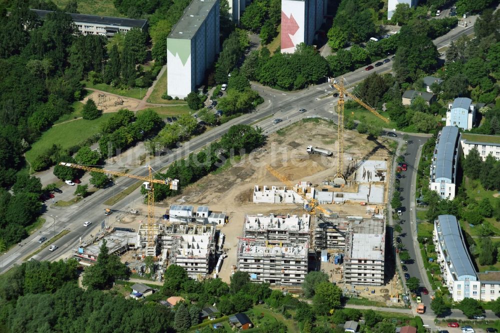 Luftaufnahme Berlin - Wohngebiet einer Mehrfamilienhaussiedlung der degewo AG an der Joachim-Ringelnatz-Straße - Hans-Fallada-Straße - Cecilienstraße im Ortsteil Biesdorf in Berlin