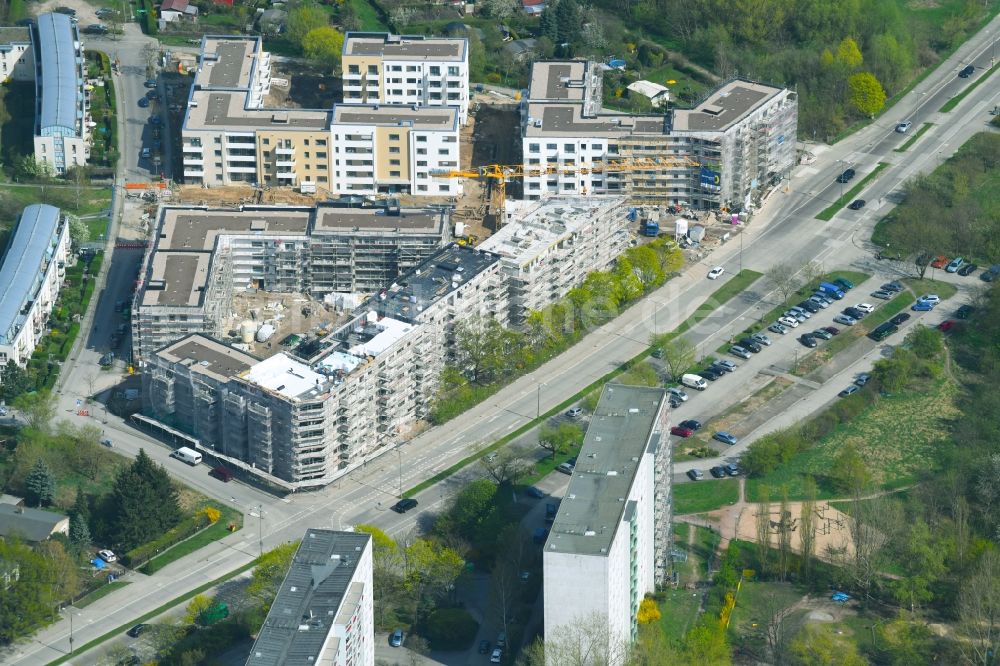 Luftaufnahme Berlin - Wohngebiet einer Mehrfamilienhaussiedlung der degewo AG an der Joachim-Ringelnatz-Straße - Hans-Fallada-Straße - Cecilienstraße im Ortsteil Biesdorf in Berlin