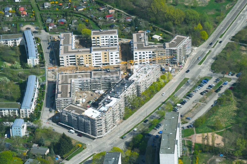 Berlin von oben - Wohngebiet einer Mehrfamilienhaussiedlung der degewo AG an der Joachim-Ringelnatz-Straße - Hans-Fallada-Straße - Cecilienstraße im Ortsteil Biesdorf in Berlin