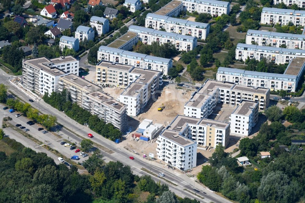 Berlin von oben - Wohngebiet einer Mehrfamilienhaussiedlung der degewo AG an der Joachim-Ringelnatz-Straße - Hans-Fallada-Straße - Cecilienstraße im Ortsteil Biesdorf in Berlin