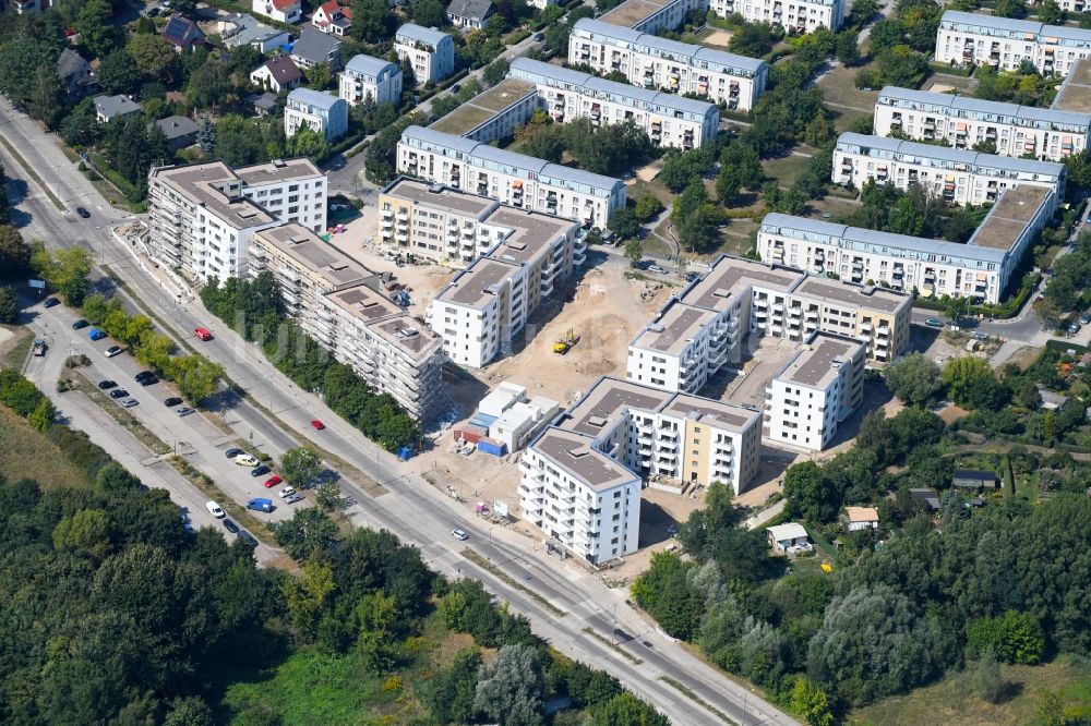 Berlin aus der Vogelperspektive: Wohngebiet einer Mehrfamilienhaussiedlung der degewo AG an der Joachim-Ringelnatz-Straße - Hans-Fallada-Straße - Cecilienstraße im Ortsteil Biesdorf in Berlin