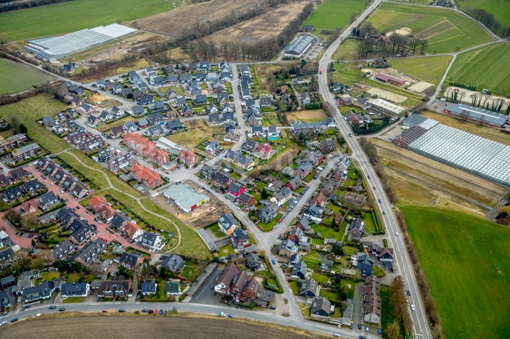 Luftbild Kirchhellen - Wohngebiet der Mehrfamilienhaussiedlung entlang der Rentforter Straße - Tappenhof in Kirchhellen im Bundesland Nordrhein-Westfalen, Deutschland