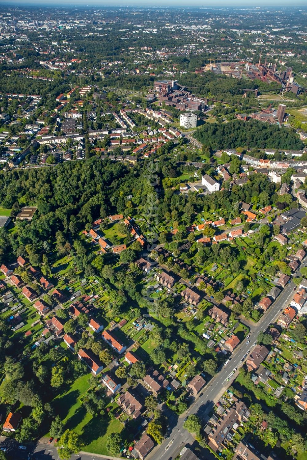 Essen aus der Vogelperspektive: Wohngebiet einer Mehrfamilienhaussiedlung in Essen im Bundesland Nordrhein-Westfalen