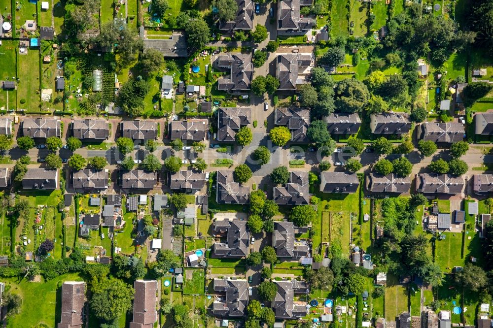 Luftbild Gelsenkirchen - Wohngebiet einer Mehrfamilienhaussiedlung in Gelsenkirchen im Bundesland Nordrhein-Westfalen