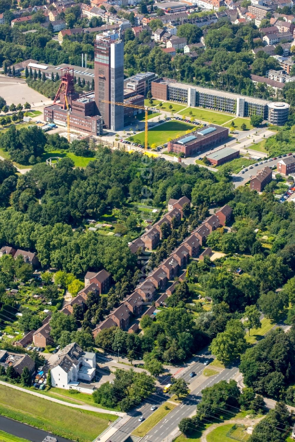 Gelsenkirchen aus der Vogelperspektive: Wohngebiet einer Mehrfamilienhaussiedlung in Gelsenkirchen im Bundesland Nordrhein-Westfalen