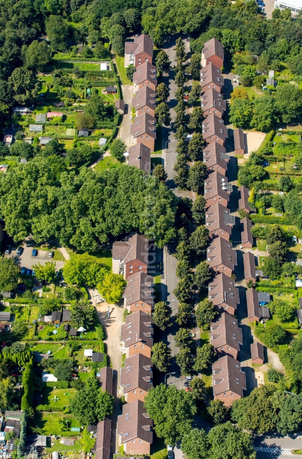 Luftaufnahme Gelsenkirchen - Wohngebiet einer Mehrfamilienhaussiedlung in Gelsenkirchen im Bundesland Nordrhein-Westfalen