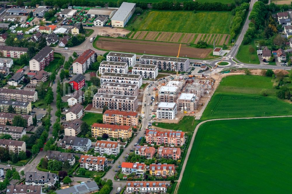 Emmendingen aus der Vogelperspektive: Wohngebiet der Mehrfamilienhaussiedlung Hauptstrasse Lerchacker in Emmendingen im Bundesland Baden-Württemberg, Deutschland