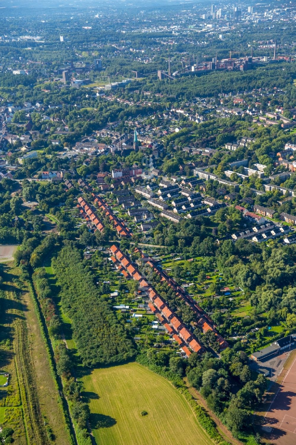 Luftbild Essen - Wohngebiet einer Mehrfamilienhaussiedlung Hegemannshof in Essen im Bundesland Nordrhein-Westfalen