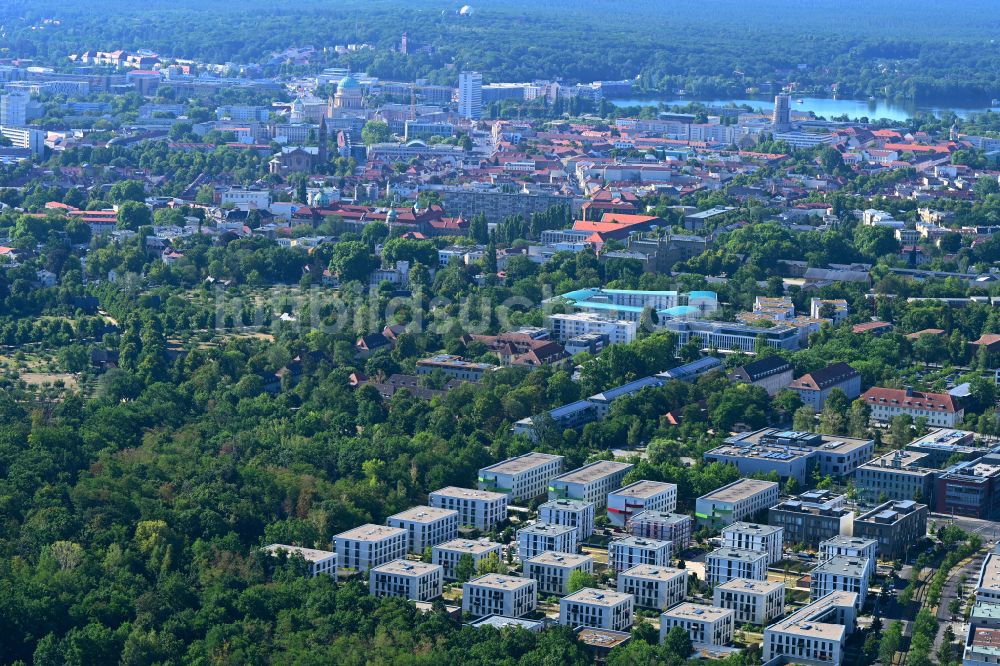 Luftbild Potsdam - Wohngebiet einer Mehrfamilienhaussiedlung im Ortsteil Bornstedt in Potsdam im Bundesland Brandenburg, Deutschland