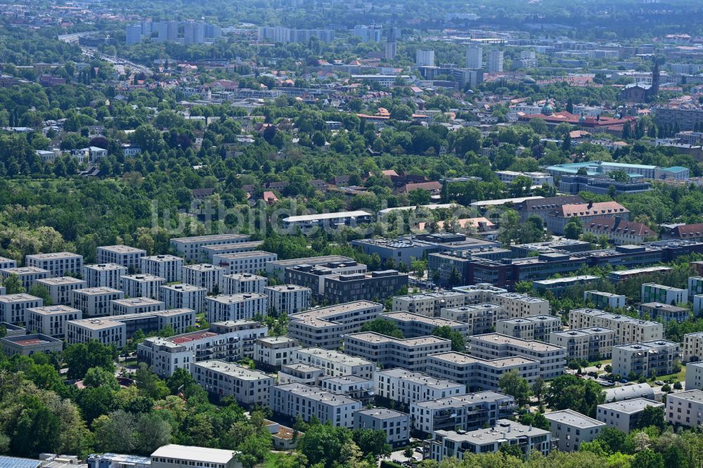 Potsdam aus der Vogelperspektive: Wohngebiet einer Mehrfamilienhaussiedlung im Ortsteil Bornstedt in Potsdam im Bundesland Brandenburg, Deutschland