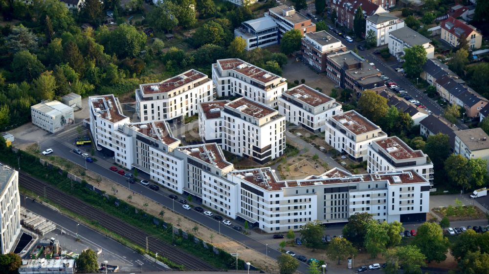 Bonn aus der Vogelperspektive: Wohngebiet der Mehrfamilienhaussiedlung im Ortsteil Kessenich in Bonn im Bundesland Nordrhein-Westfalen, Deutschland