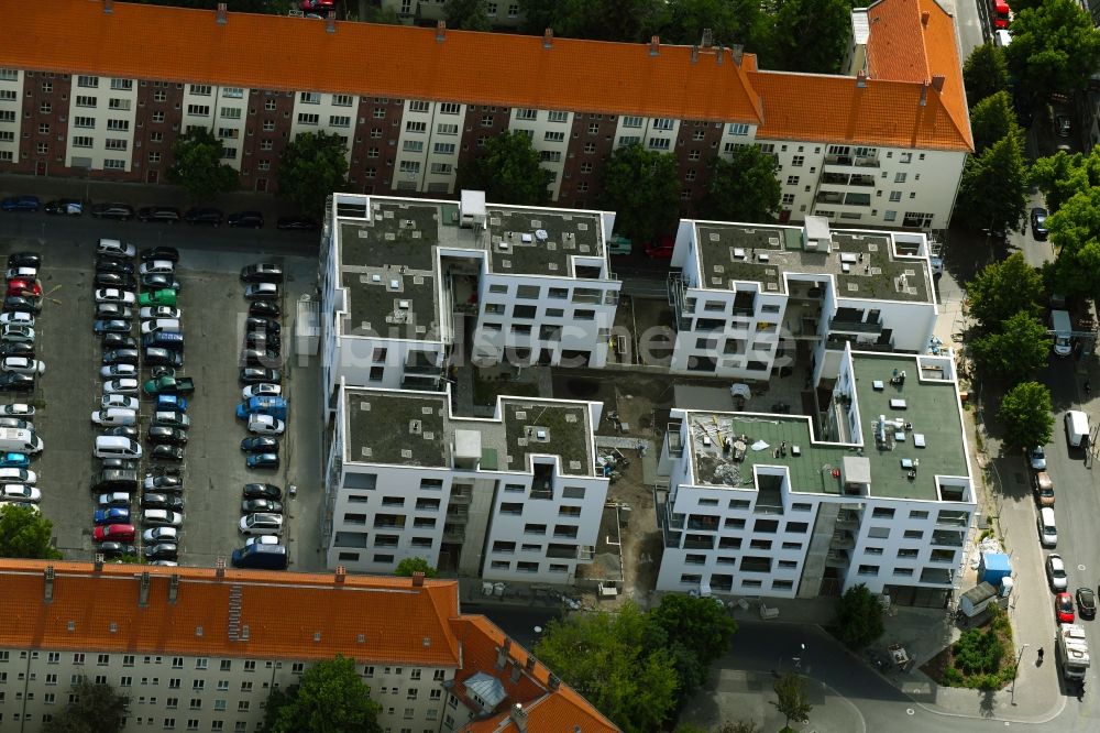 Berlin aus der Vogelperspektive: Wohngebiet der Mehrfamilienhaussiedlung am Pistoriusplatz im Ortsteil Weißensee in Berlin, Deutschland