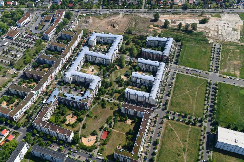 Berlin aus der Vogelperspektive: Wohngebiet einer Mehrfamilienhaussiedlung Plauener Straße - Sollstädter Straße - Arendsweg im Ortsteil Hohenschönhausen in Berlin, Deutschland