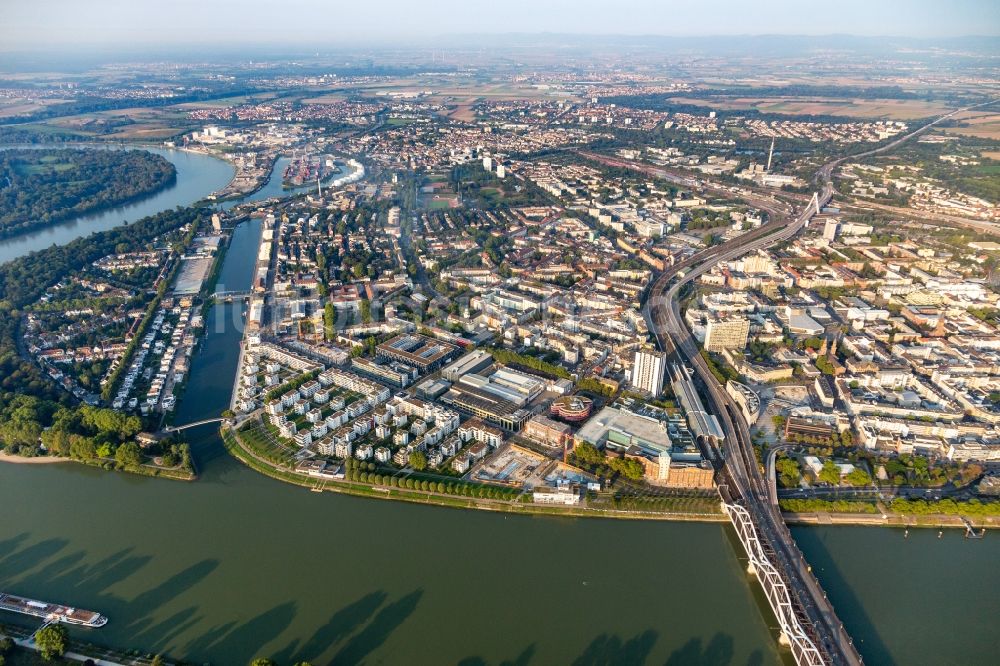 Ludwigshafen am Rhein von oben - Wohngebiet der Mehrfamilienhaussiedlung an der Rheinpromenade - Rheinallee in Ludwigshafen am Rhein im Bundesland Rheinland-Pfalz, Deutschland