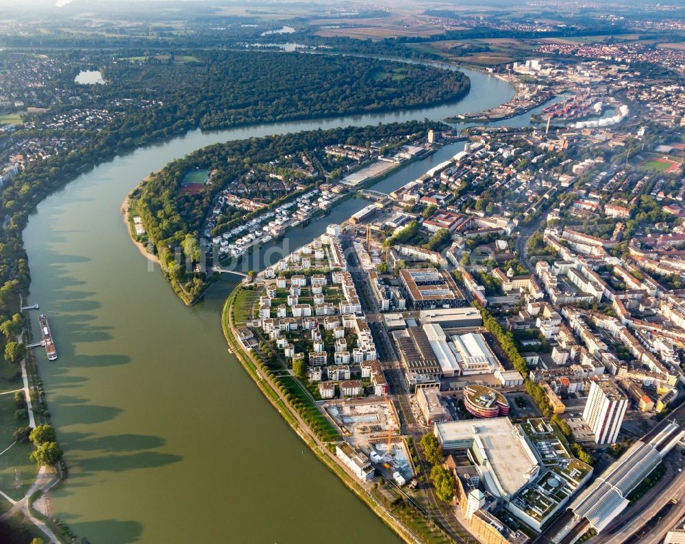 Luftaufnahme Ludwigshafen am Rhein - Wohngebiet der Mehrfamilienhaussiedlung an der Rheinpromenade - Rheinallee in Ludwigshafen am Rhein im Bundesland Rheinland-Pfalz, Deutschland