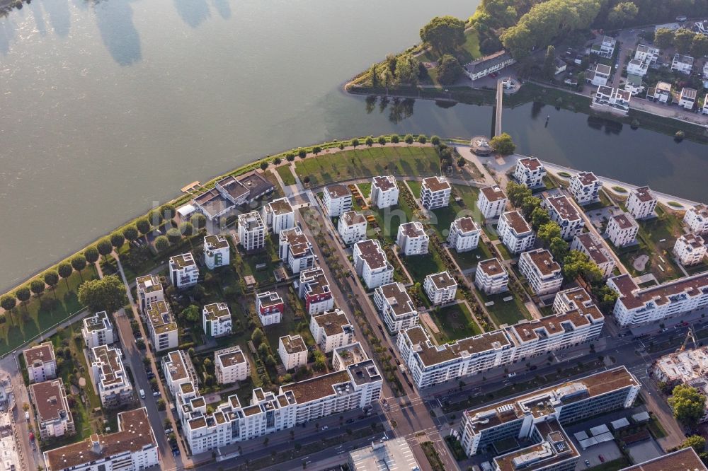 Ludwigshafen am Rhein von oben - Wohngebiet der Mehrfamilienhaussiedlung an der Rheinpromenade - Rheinallee in Ludwigshafen am Rhein im Bundesland Rheinland-Pfalz, Deutschland