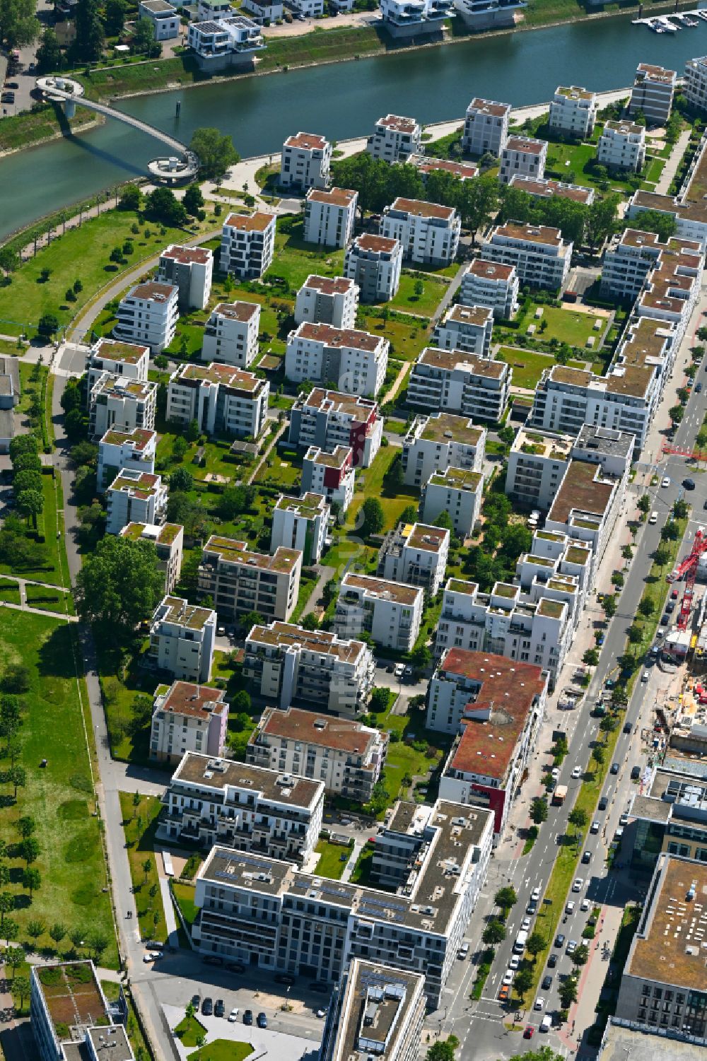 Luftaufnahme Ludwigshafen am Rhein - Wohngebiet der Mehrfamilienhaussiedlung an der Rheinpromenade - Rheinallee in Ludwigshafen am Rhein im Bundesland Rheinland-Pfalz, Deutschland