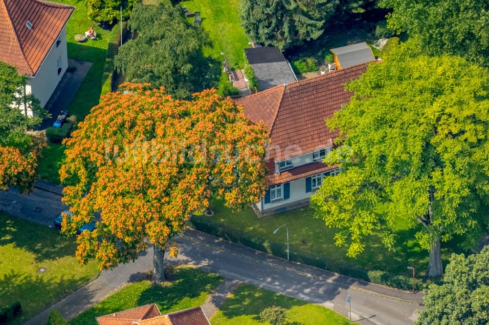 Herne aus der Vogelperspektive: Wohngebiet der Mehrfamilienhaussiedlung Siedlung Teutoburgia in Herne im Bundesland Nordrhein-Westfalen