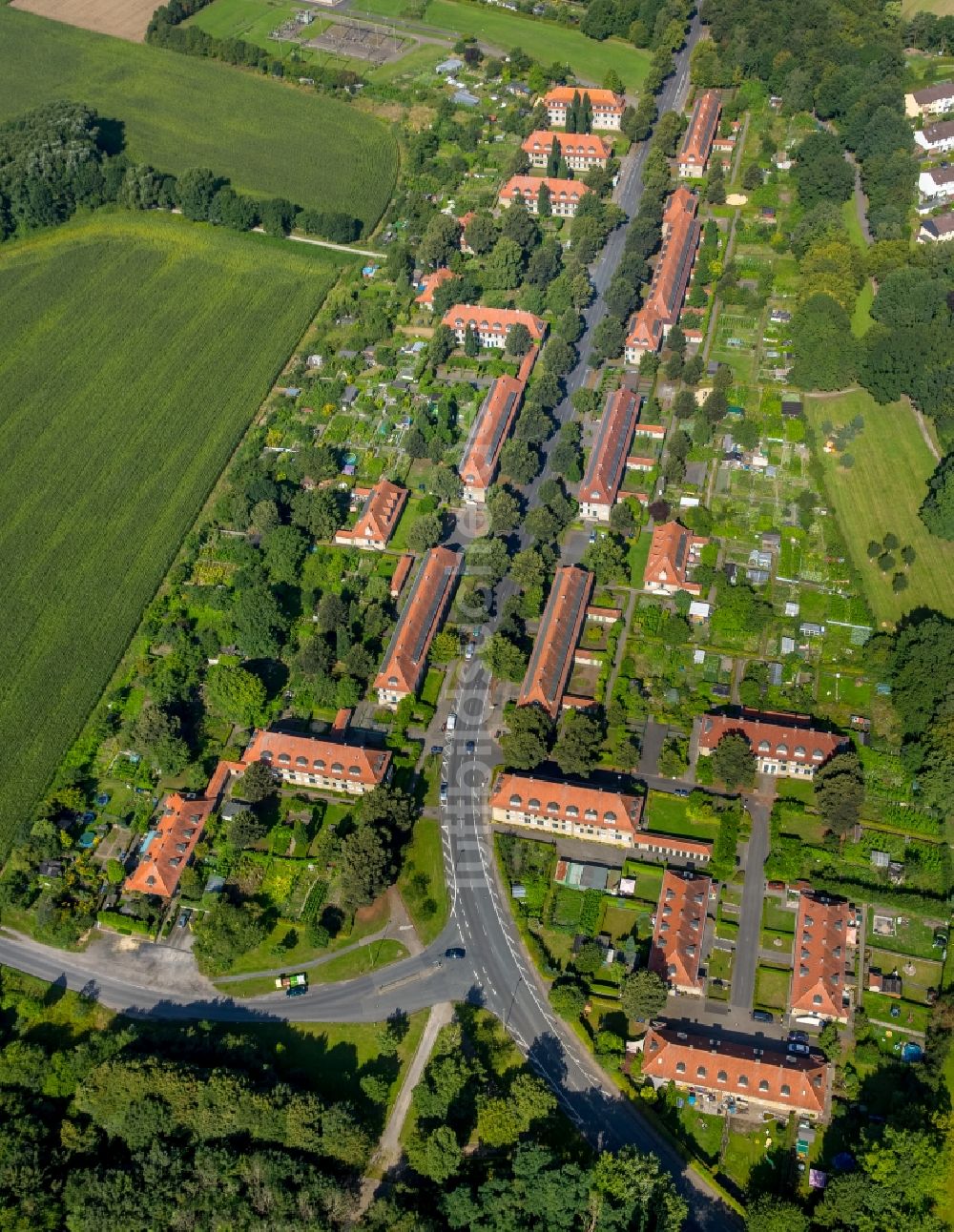 Hamm aus der Vogelperspektive: Wohngebiet der Mehrfamilienhaussiedlung Siedlung Vogelsang in Hamm im Bundesland Nordrhein-Westfalen