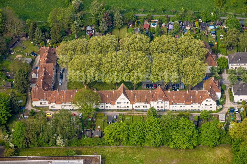 Herne von oben - Wohngebiet der Mehrfamilienhaussiedlung Teutoburgiahof in Herne im Bundesland Nordrhein-Westfalen, Deutschland