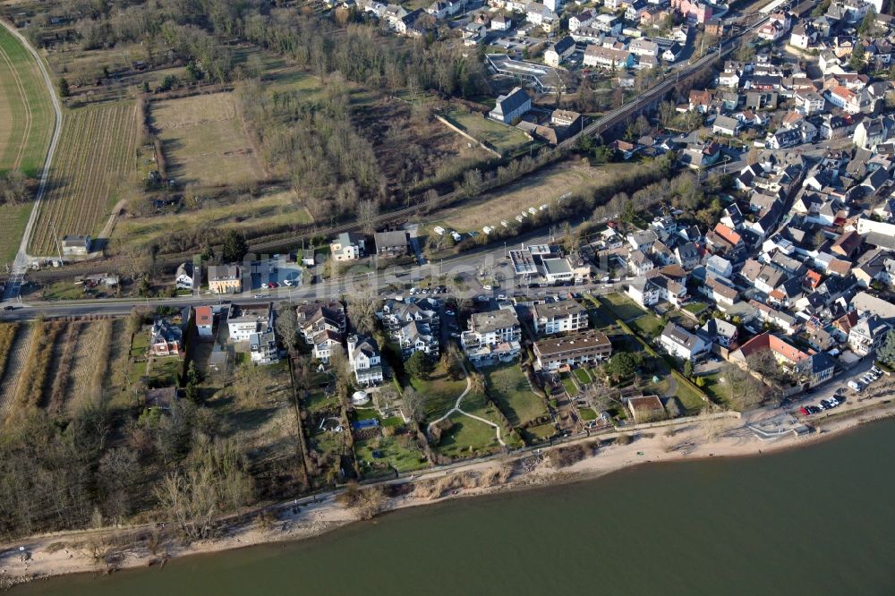 Luftaufnahme Walluf - Wohngebiet einer Mehrfamilienhaussiedlung am Ufer- und Flußverlauf des Rheins in Walluf im Bundesland Hessen, Deutschland