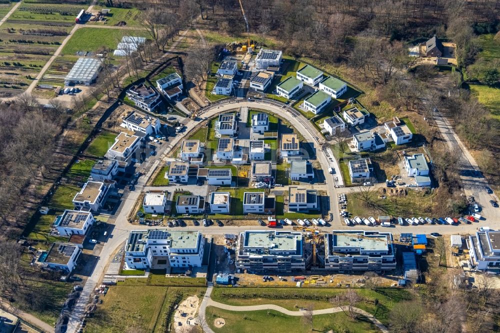 Luftbild Gelsenkirchen - Wohngebiet - Mischbebauung der Mehr- und Einfamilienhaussiedlung Am Buerschen Waldbogen entlang der Westerholter Straße in Gelsenkirchen im Bundesland Nordrhein-Westfalen, Deutschland