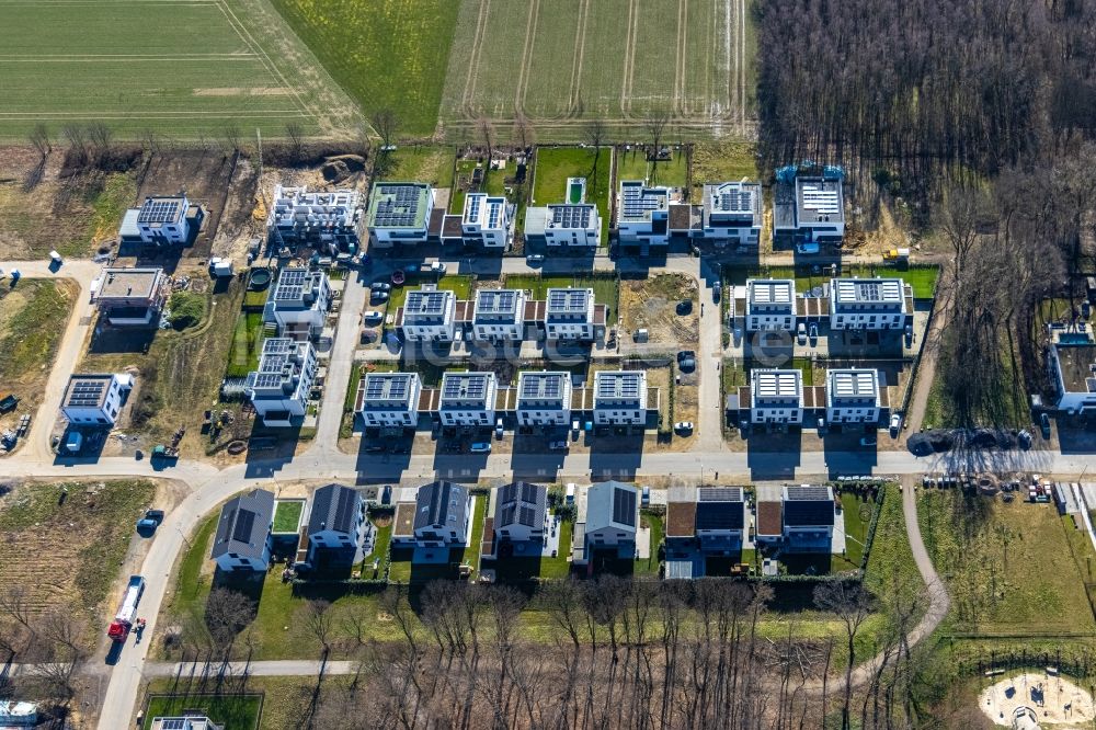 Luftaufnahme Gelsenkirchen - Wohngebiet - Mischbebauung der Mehr- und Einfamilienhaussiedlung Am Buerschen Waldbogen entlang der Westerholter Straße in Gelsenkirchen im Bundesland Nordrhein-Westfalen, Deutschland