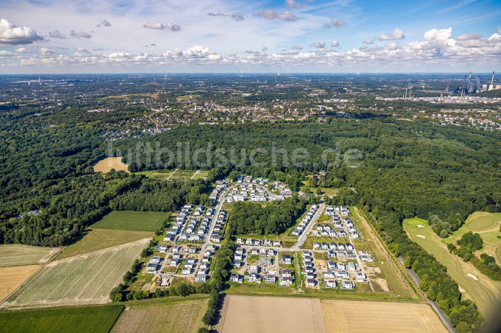 Luftbild Gelsenkirchen - Wohngebiet - Mischbebauung der Mehr- und Einfamilienhaussiedlung Am Buerschen Waldbogen entlang der Westerholter Straße in Gelsenkirchen im Bundesland Nordrhein-Westfalen, Deutschland