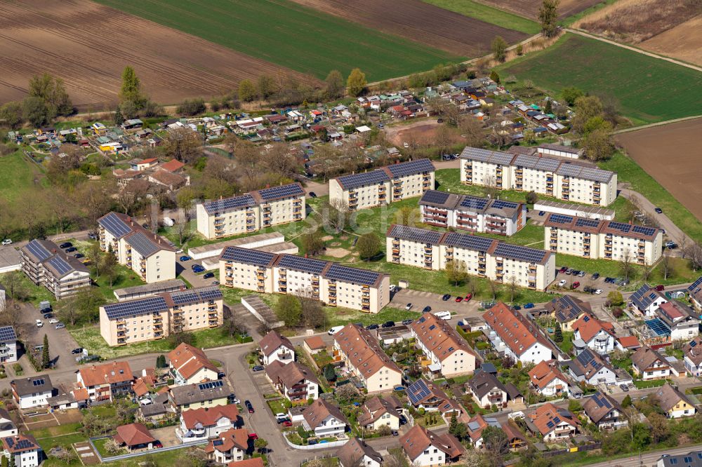 Kippenheimweiler aus der Vogelperspektive: Wohngebiet - Mischbebauung der Mehr- und Einfamilienhaussiedlung in Kippenheimweiler bei Lahr im Bundesland Baden-Württemberg, Deutschland