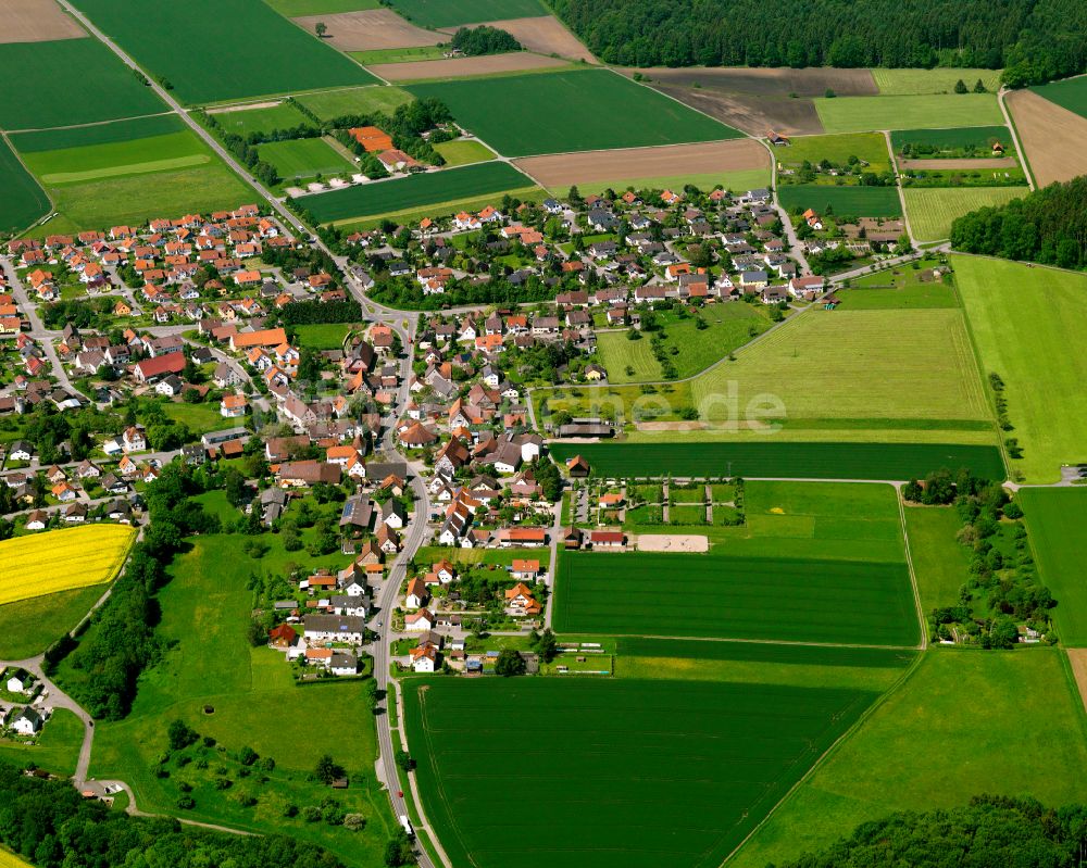 Warthausen aus der Vogelperspektive: Wohngebiet - Mischbebauung der Mehr- und Einfamilienhaussiedlung in Warthausen im Bundesland Baden-Württemberg, Deutschland