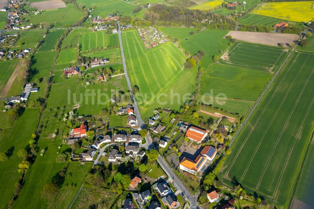 Luftbild Hamm - Wohngebiet und Neubaugebiet Grüner Winkel mit der Grundschule im Stadtteil Braam-Ostwennemar in Hamm im Bundesland Nordrhein-Westfalen