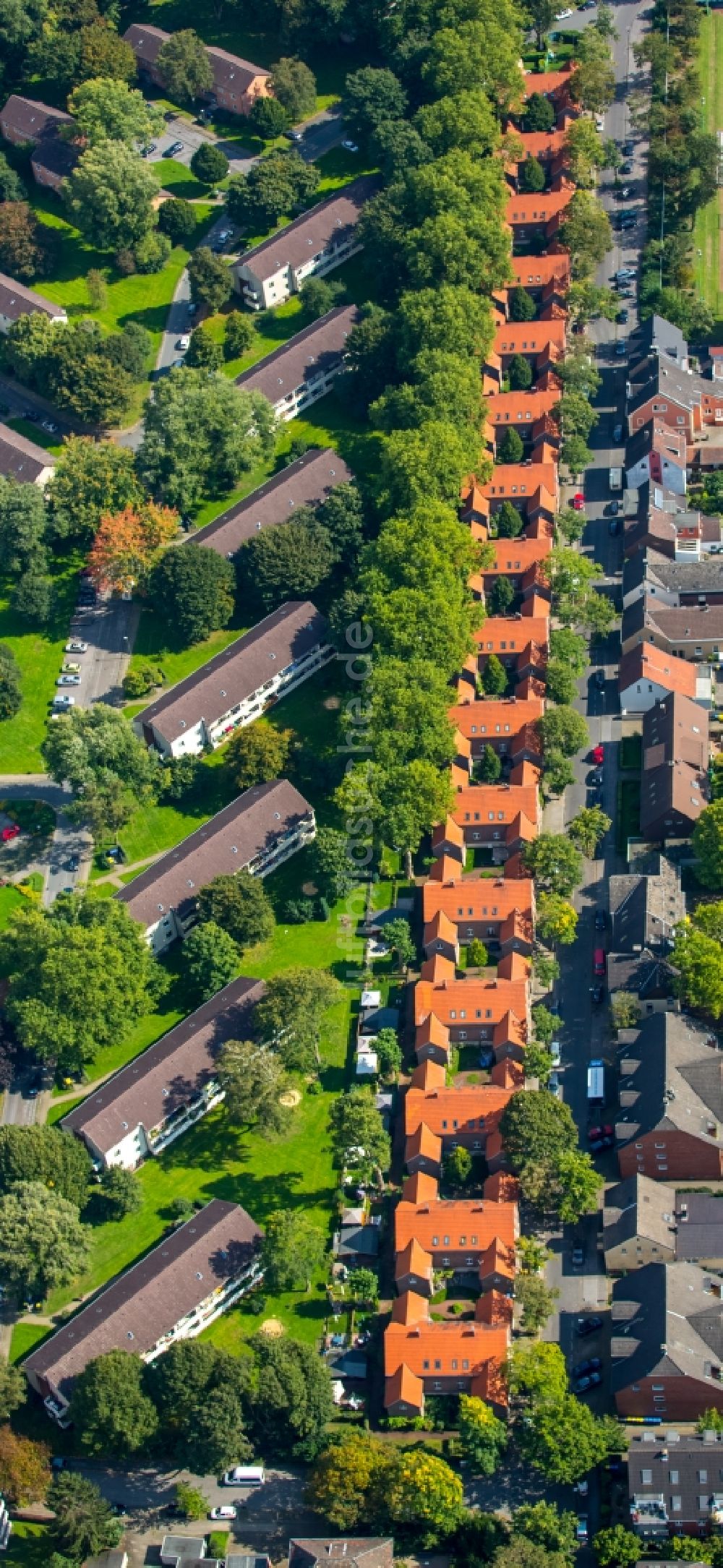 Gelsenkirchen von oben - Wohngebiet einer Reihenhaus- Siedlung in Gelsenkirchen im Bundesland Nordrhein-Westfalen